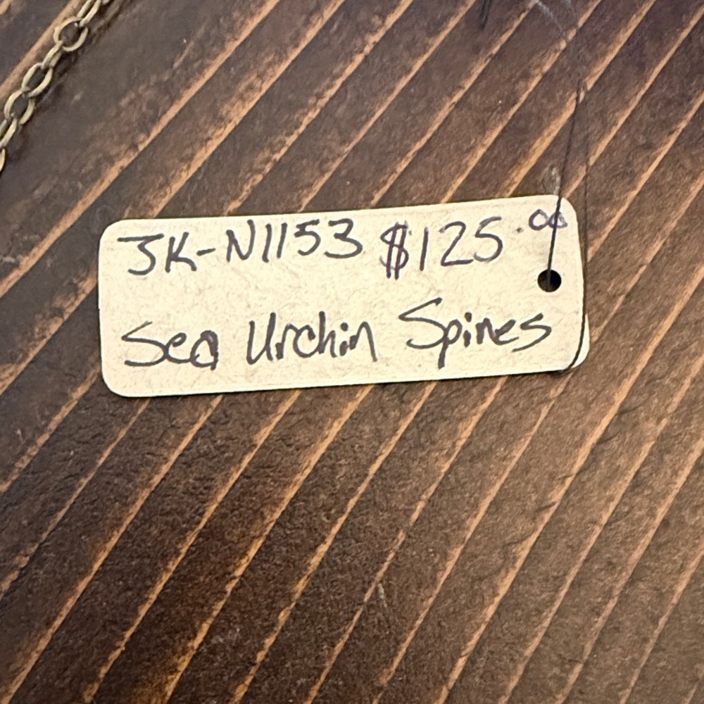 Sea Urchin Spine Necklace - Picture 3 of 5
